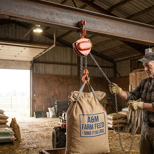 Palans à chaîne triangulaires de 2 tonnes, palan manuel portable à chaîne pour la construction - Product Image 1