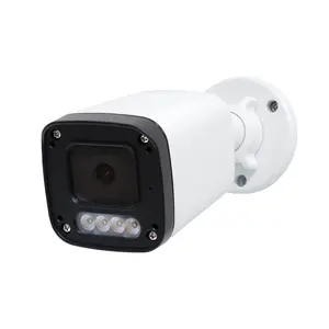 Câmera de detecção humana barata, câmera de som bidirecional, vídeo em cores, vigilância por vídeo, câmera IP CCTV AI, câmera de segurança de rua POE