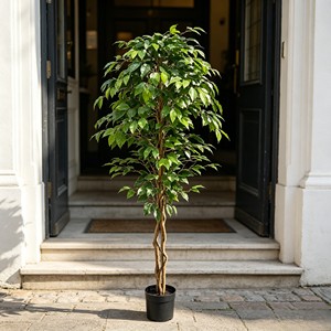 Directly Shipped Factory <b>Plastic</b> Banyan <b>Tree</b> Poles-Evergreen Decor for Valentine's Day & Mother's Day - Product Image 4