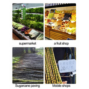 High Quality Sugarcane <b>Peeler</b> High Output Handheld Sugarcane Cutter Easy Operation Sugarcane Peeling <b>Peeler</b> - Product Image 3