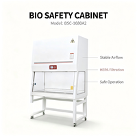 Cabine de biosécurité à aspiration 30 % avec système d'alarme intelligent et stérilisation UV, directement de l'usine