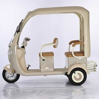 Triciclo Eléctrico de Pasajeros de Gran Potencia, Tres Ruedas, 60V/72V, en Oferta, Venta Caliente, Fábrica OEM