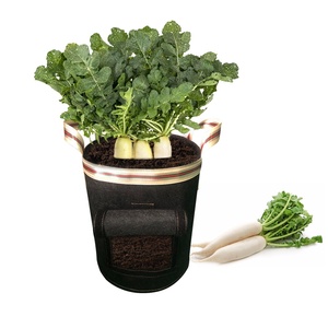 <span class=keywords><strong>Maceta</strong></span> con mango personalizada, bolsa de jardín de fieltro de 3/5/7 galones, bolsas de cultivo de tela no <span class=keywords><strong>tejida</strong></span>, color negro, venta al por mayor - Product Image 2