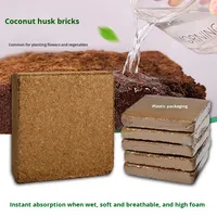 Brique de tourbe de coco de 10 cm, terreau nutritif, tourbe de coco hautement moussante, bloc de coco à faible teneur en sel, brique de fibres de coco, bloc de coco compressé