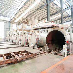 Ligne de production automatique de panneaux en béton cellulaire autoclavé et de blocs de mortier léger à base de cendres volantes pour l'usine AAC en Algérie - Product Image 2