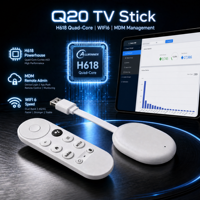 Q20 Stick 4K H618 2GB 16GB Android 12 Double WIFI6 BT 5.0 Télécommande Compacte Dolby Lemon Lecteur TV OEM ODM Logo Personnalisé 1 pièce