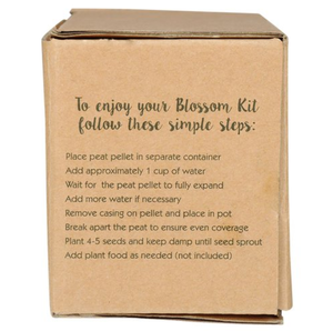 Kit de culture de fleurs en mini chariot à main en bois avec logo personnalisé, style vintage rustique, pour jardin, cadeau promotionnel mignon, vente en gros - Product Image 5