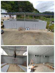 Trái cây kho lạnh chi phí kho lạnh cửa hàng Máy 100 tấn kho lạnh xây dựng coldstorage - Product Image 5