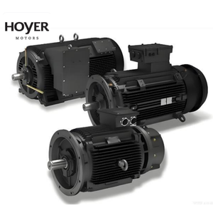 Motores Hoyer IE3 de 220/380/415/440/660 V, 45 kW, 75 kW, 90 kW, 1000 RPM, Motor de Inducción Trifásico, IP55 TEFC, 50/60 Hz - Product Image 3