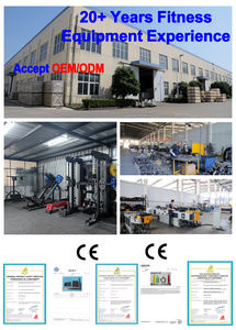 Machine de musculation 2-en-1 pour extensions et curls assis en titane, avec acier robuste de 3 mm, pile de poids de 300 lb, équipement de force à double fonction - Product Image 6