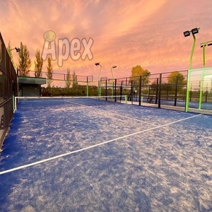 Instalación Económica y Estable de Pistas de Pádel por Equipo APEX, Cancha de Pádel con su Propio Logotipo y Colores - Product Image 4