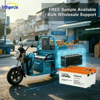 Batterie LiFePO4 pour fauteuil roulant électrique 51.2V200AH 10.24KWh Lithium Fer Phosphate Légère Sans Entretien pour Fauteuil Pliant