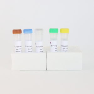 Vírus da encefalite japonesa (JEV) TaqMan Probe RT-PCR Kit-Alta sensibilidade para diagnósticos veterinários, 50 testes - Product Image 5