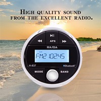 Wasserdichtes Spa-Audio-Soundsystem für Whirlpool-Badezimmer-Dusch radio mit BT-H-837