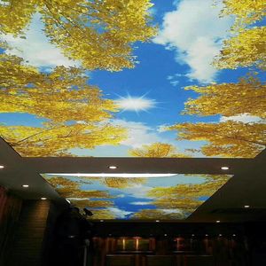 Cucina Idee del tetto Vinile Texture Stretch Bordo del Soffitto Falso 3D Soffitto Parete Soffitto - Product Image 3