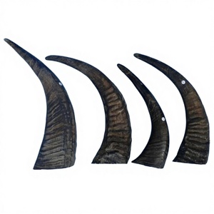 Cuerno de Búfalo Natural de Alta Calidad, 110% Ecológico, Estilo Animal, Listo para Exportar, Tallado a Mano, Personalizado, en Venta - Product Image 2