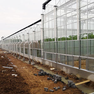 Большая многопролетная сельскохозяйственная теплица со стальным каркасом для посадки клубники, закаленное стеклянное покрытие и отопительное оборудование - Product Image 6