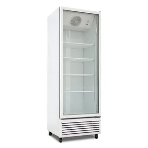 Kenkuhl 430L Comercial Geladeira e Freezer Bebidas Refrigerador Display Frigorífico Showcase