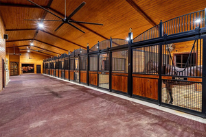 Progettazione di montaggio rapido modulare del sistema stabile del cavallo dei centri equestri professionali con la struttura d'acciaio galvanizzata per uso quotidiano - Product Image 3