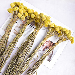 Offres Spéciales 2026 : Bouquet de Tournesols DIY, Fleurs Dorées <span class=keywords><strong>Billy</strong></span> Ball Préservées pour Arrangements Décoratifs Maison - Product Image 2