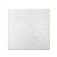 Plaques de plafond carrées en silicate de calcium ignifugées épaissies, design moderne, pour projets d'aménagement intérieur de centres commerciaux, hôtels et espaces publics - Meilleures ventes