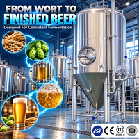 Fermenteur en acier inoxydable à haute performance pour la brasserie et la fermentation des boissons