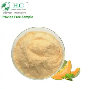 Top Grade Honeydew Melon Extract Cantaloupe Extract Hami Melon Extract Powder