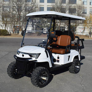 Advanced Technology Eco Friendly Powerful Professional Reliable Luxury Golf Cart - Product Image 4
