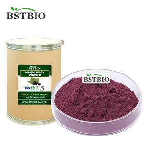 BSTBIO Aristotelia Chilensis bubuk jus buah organik alami beku bubuk <span class=keywords><strong>Maqui</strong></span> kering - Product Image 3