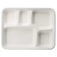 Disposable Biodegradable Takeaway Take Out School Sugarcane Bagasse Paper Pulp Molded Food Lunch Tray Plates