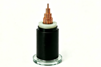 Cable de Alimentación de Polietileno Reticulado (XLPE) con Conductor de Cobre y Aluminio de 64/110V ~ 127/220kV para Uso en Centrales Eléctricas con Clasificación IP67
