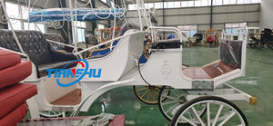 Carrozza elettrica per trasporto speciale di 2/<span class=keywords><strong>3</strong></span> fila personalizzata carrozza trainata a cavallo di nuovo stile moderna - Product Image 3