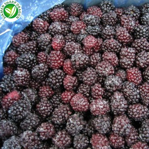 Framboises et mûres <span class=keywords><strong>bio</strong></span> fraîches <span class=keywords><strong>surgelées</strong></span> IQF, fruits <span class=keywords><strong>sauvages</strong></span> entiers non sucrés, <span class=keywords><strong>myrtilles</strong></span> en vrac, vente en gros - Product Image 5