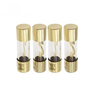 Fusible de Vidrio para Amplificador de Audio para Auto AGU, 10*38mm, Totalmente Chapado en Oro, 10A/30A/50A/60A/80A/100A, Baja Capacidad de Ruptura, Fusible de Acción Rápida - Product Image 5