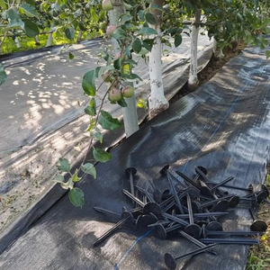 Toile de paillage <span class=keywords><strong>anti</strong></span>-mauvaises herbes pour l'agriculture et l'aménagement paysager, barrière de contrôle et de protection des sols - Product Image 3