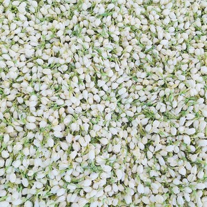 Capullos de Jazmín Secos Súper Aromáticos, Libres de Azufre, Pétalos de Jazmín Enteros Frescos para Té Aromático y Materia Prima para Aromatizar - Product Image 1