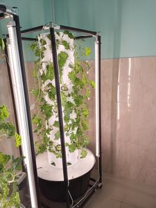 Cómo cultivar plantas hidropónicas, torre de jardín Vertical de forma redonda, hidropónica - Product Image 4