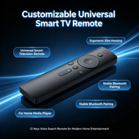 Control Remoto de 12 Teclas con Activación por Voz para Smart TV LCD, Android TV Box, Carcasa Personalizada OEM ODM, Suministro de Fábrica