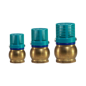 Clapet de pied en laiton-plastique Dn32 - Product Image 4