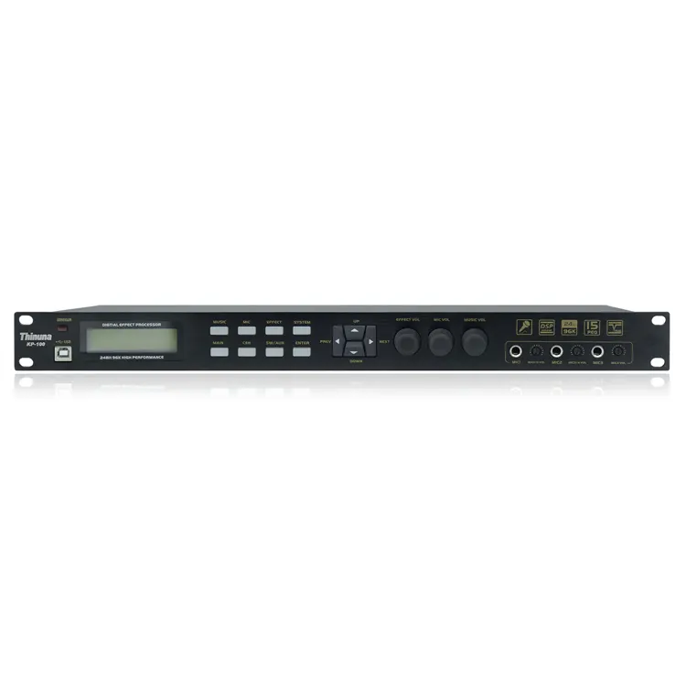 Thinuna KP-100 Dual 15 segmen Professional Karaoke Digital efek prosesor peningkatan suara preamplifier
