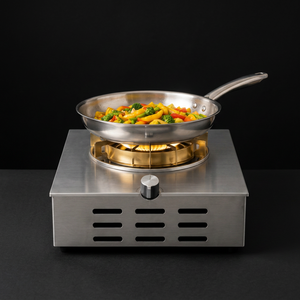 Grey Plasma Electric Flame <b>Stove</b> | Fast Smokeless Gas-Free Portable Single Burner Cooking <b>Stove</b> for Home Kitchen and outdoor - Product Image 1