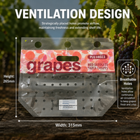 Sacs en plastique perforés respirants à fermeture éclair en PP de qualité alimentaire pour l'emballage des raisins rouges sans pépins