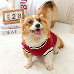 Automne hiver chien vêtements <span class=keywords><strong>Corgi</strong></span> mode basket-ball sport gilet pull Polyester animal de compagnie petit moyen teckels imprimé classique XXL - Product Image 3