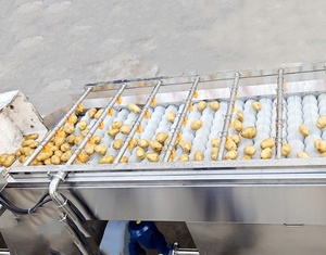 Lavadora de Frutas y Verduras de Alta Presión con Rodillo de Cepillado y Pulverización, Acero Inoxidable 304, 220/380V, Modelo LG-BCL4000 - Product Image 2