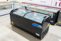 Congélateur commercial combiné à double porte, refroidissement direct, étagères réglables, vitrine de présentation pour aliments surgelés pour supermarché
