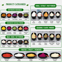 Poudre de melon amer, extrait de melon amer séché par pulvérisation, sans OGM, casher, pour capsules, thé, boisson, soutien glycémique, usine OEM