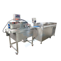 Petite machine à enrober de chocolat, machine à fabriquer du chocolat pour la petite production, enrobage commercial de chocolat