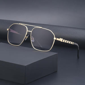 Lunettes de soleil rétro personnalisées à double pont pour hommes, monture carrée en métal, protection UV400, style Instagram - Product Image 1