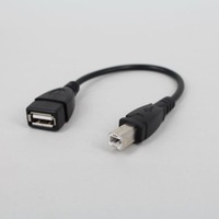 Kabel Adaptor USB 2.0 OEM dengan Selubung PVC, Female B Male, Konduktor Tembaga Murni 1-2A, Cetakan Khusus untuk Ponsel, Printer, Scanner