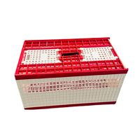 YZ Marque Pigeon Cage En Plastique Cage Pigeon Panier 60x30x26cm